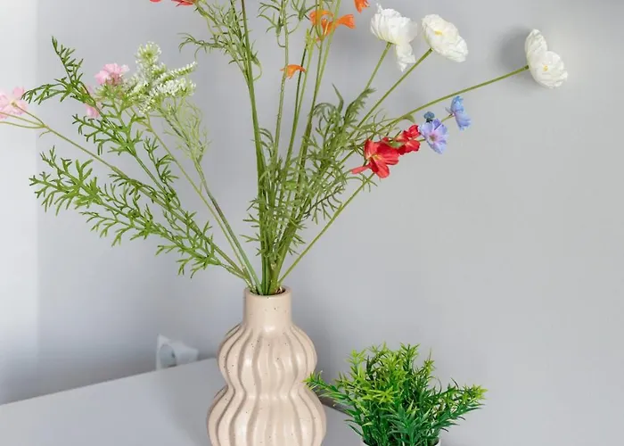 Comfortable With Parking In By Renters Apartament